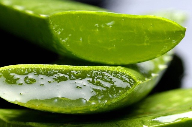 aloe vera bubble Aloe Vera – Bubble Tea Wholesaler WA main image 0